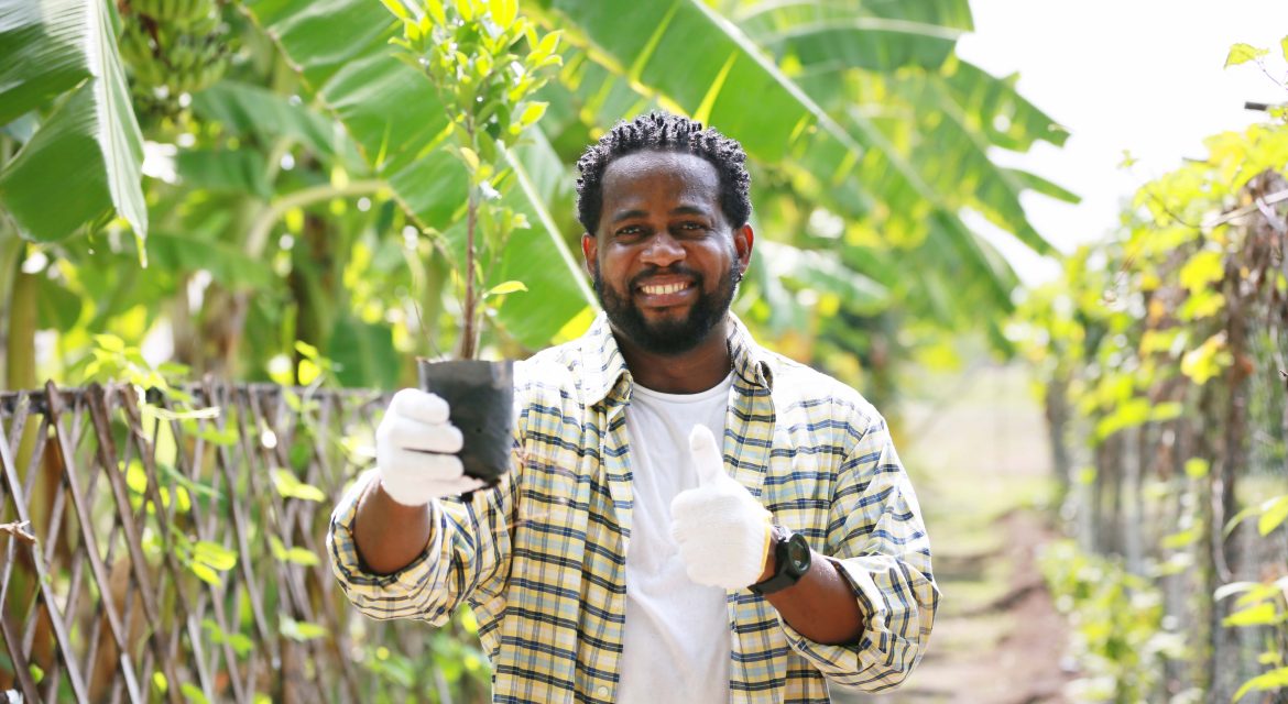 Utilizing Solar Energy to Revolutionize Nigeria's Agricultural Industry- Solar Farms